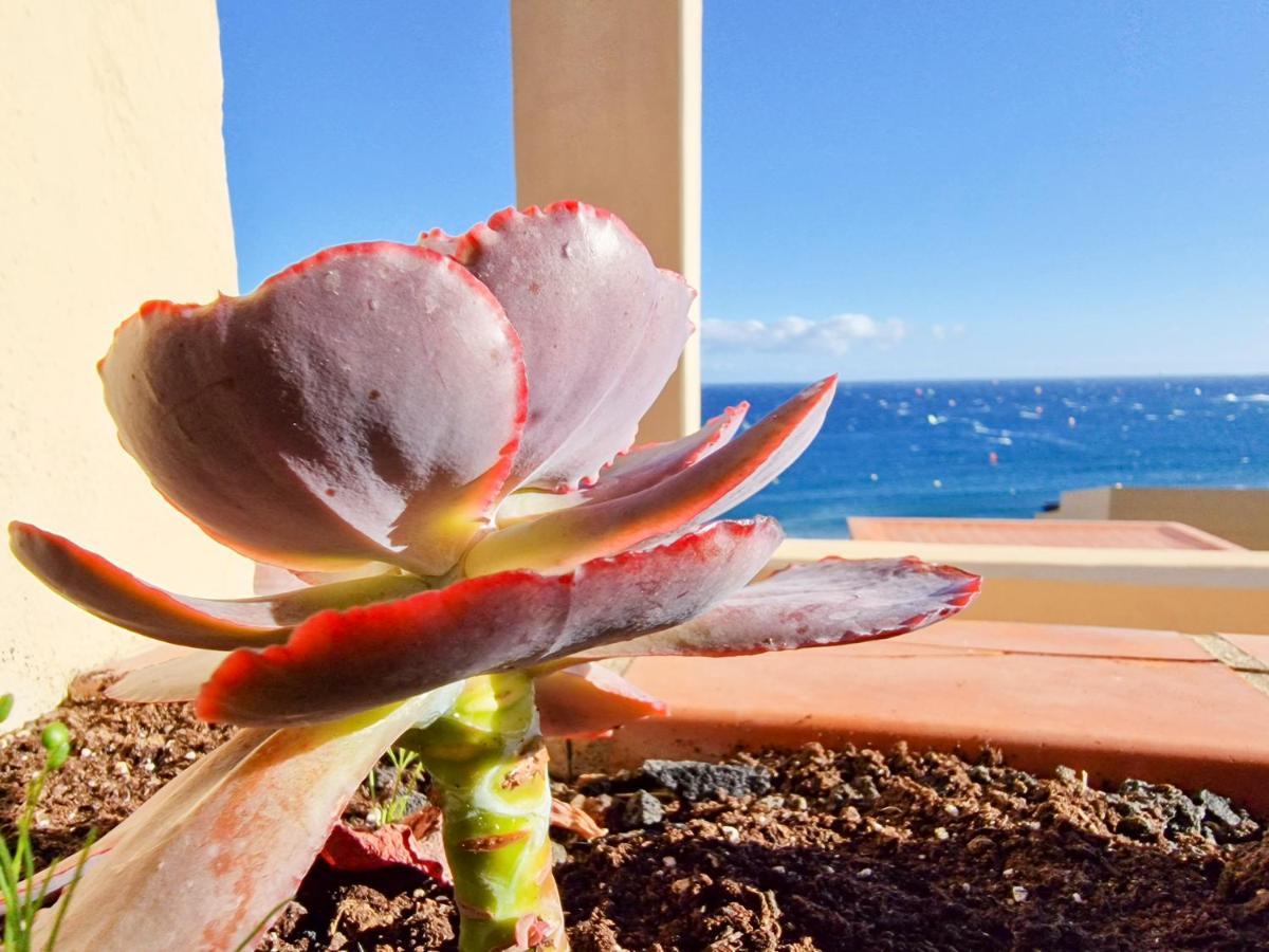 אל מדאנו Medano4You The Ocean Terrace Penthouse מראה חיצוני תמונה